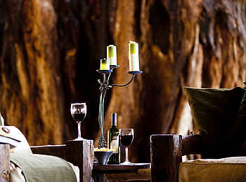 Tarangire Treetops: Main Lounge