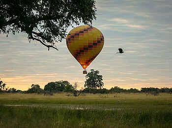 Bushman Plains Camp: Ballonfahrt Bushman Plains Camp: Ballonfahrt