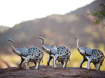 Mowani Mountain Camp: Metallelefanten