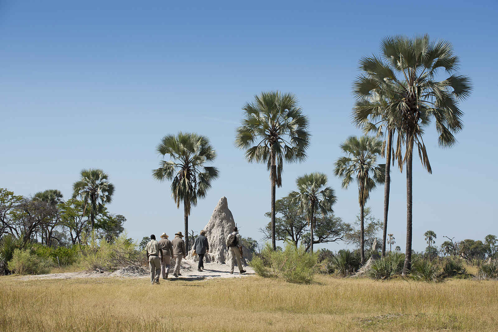 Nxabega Okavango Tented Camp: Safari zu Fuß Nxabega Okavango Tented Camp: Safari zu Fuß