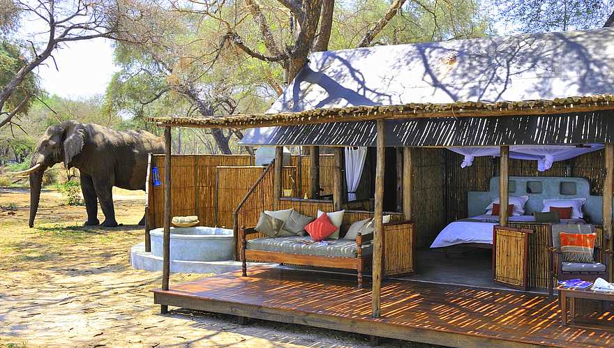 Old Mondoro Camp: Elefant hinter einem Gästezelt Old Mondoro Camp: Elefant hinter einem Gästezelt