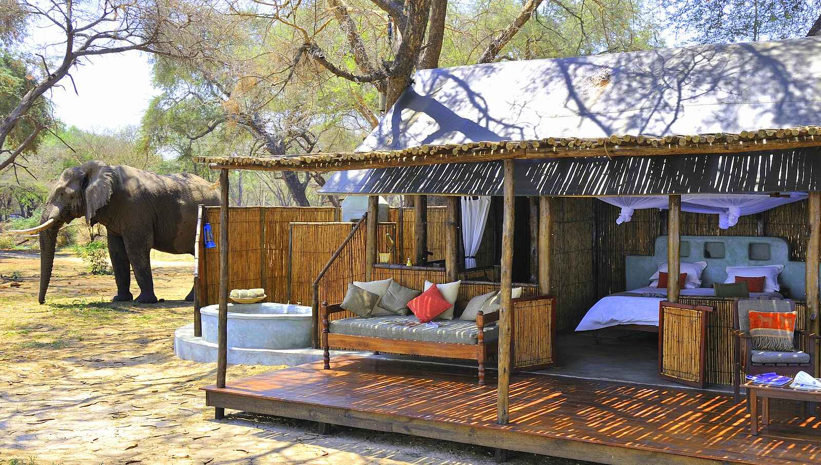 Old Mondoro Camp: Elefant hinter einem Gästezelt Old Mondoro Camp: Elefant hinter einem Gästezelt