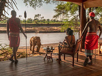 Soroi Larsens Camp: Elefanten im Camp Soroi Larsens Camp: Elefanten im Camp