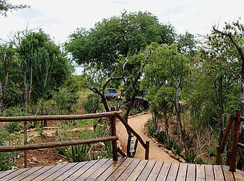 Tarangire Treetops: Eingang
