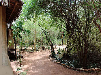 Tarangire Treetops: Gartenanlage