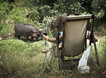 Mara Bush Camp: Entspannen mit einem jungen Nilpferd Mara Bush Camp: Entspannen mit einem jungen Nilpferd