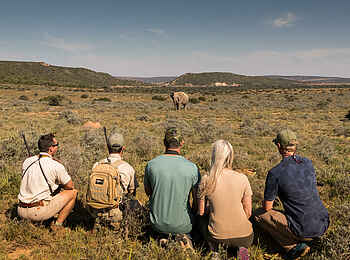 Bayethe Lodge: Auf Wandersafari Bayethe Lodge: Auf Wandersafari