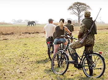 Chisa Busanga Camp: E-Bike Safari