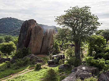Jabali Ridge Camp: Game Drive vor charakteristischem Kopje Jabali Ridge Camp: Game Drive vor charakteristischem Kopje