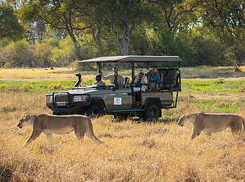 Little Machaba Camp: Game Drive
