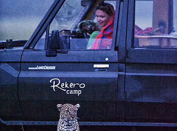 Rekero Camp: Leopard am Jeep
