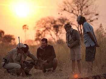 Sandibe under Canvas Camp: Spurenlesen