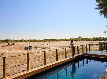 Savute Safari Lodge: Pool Savute Safari Lodge: Pool