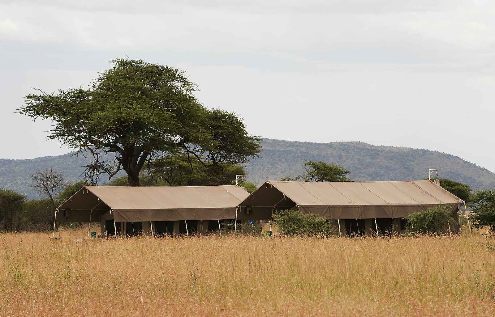 Serengeti Kati Kati Tented Camp: Zwei Gästezelte Serengeti Kati Kati Tented Camp: Zwei Gästezelte
