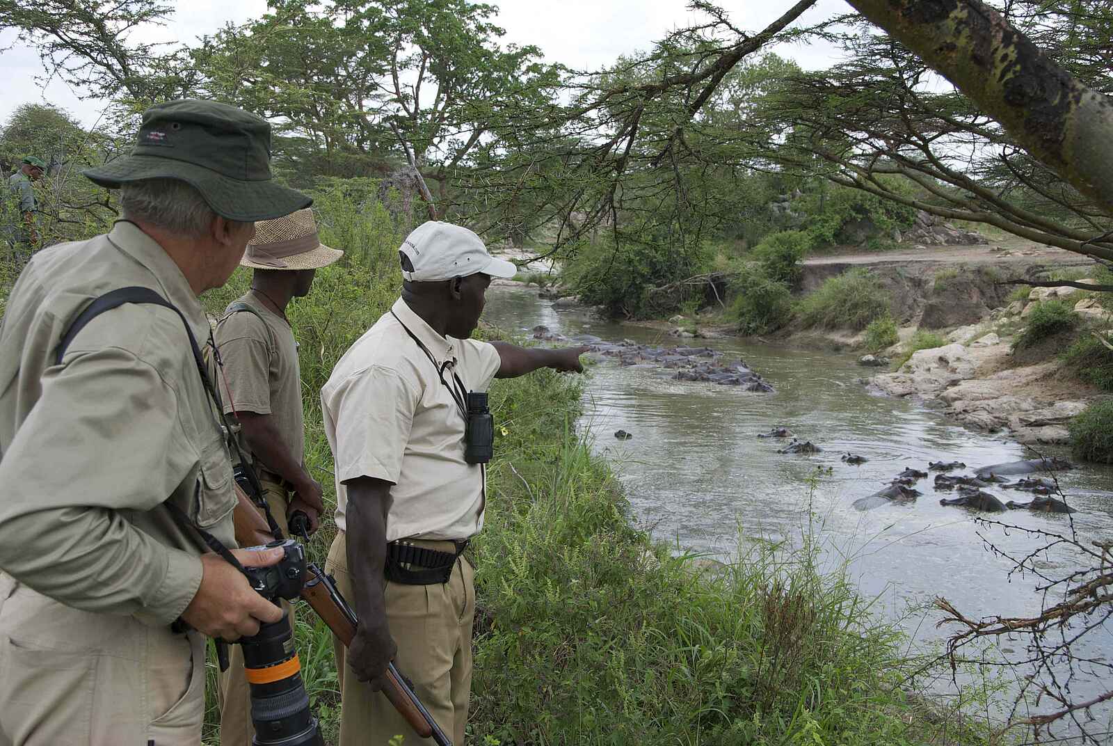 Serengeti Migration Camp: Nilpferdsichtung Serengeti Migration Camp: Nilpferdsichtung