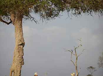 Stanley's Kopje Camp: Busch-Lunch Stanley's Kopje Camp: Busch-Lunch