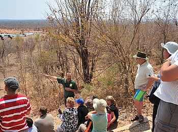 Victoria Falls Safari Lodge: Professionelle Guides