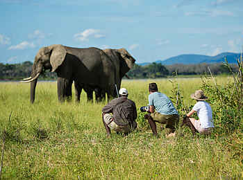 Zanji Suite at Tembo Plains Camp: Auf Wandersafari Zanji Suite at Tembo Plains Camp: Auf Wandersafari