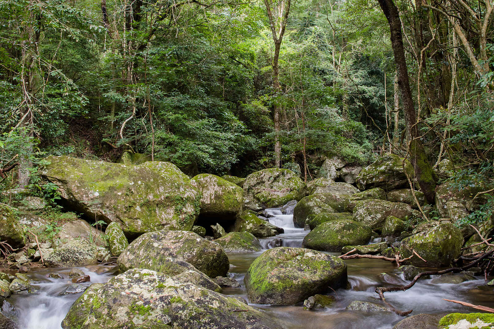 Aberfoyle Lodge: Felsiges Flussbett Aberfoyle Lodge: Felsiges Flussbett