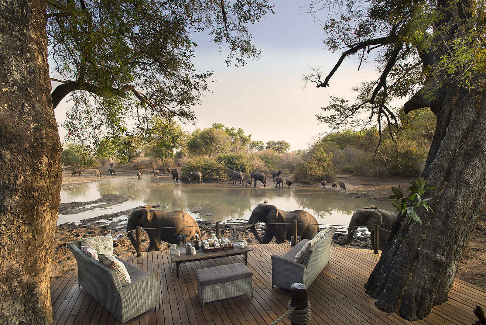 Kanga Expeditions: Elefanten vor dem Aussichtsdeck Kanga Expeditions: Elefanten vor dem Aussichtsdeck
