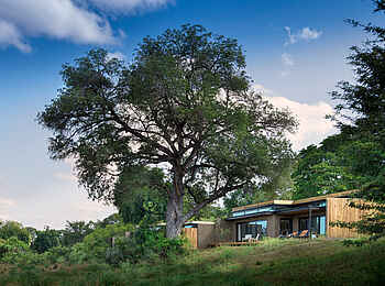 Lion Sands River Lodge: Gästeunterkunft im Grünen