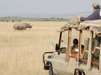Naibor Camp: Nashorn auf dem Game Drive Naibor Camp: Nashorn auf dem Game Drive