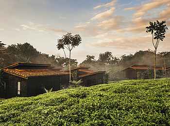 One and Only Nyungwe House: Die Unterkünfte bei Sonnenaufgang One and Only Nyungwe House: Die Unterkünfte bei Sonnenaufgang