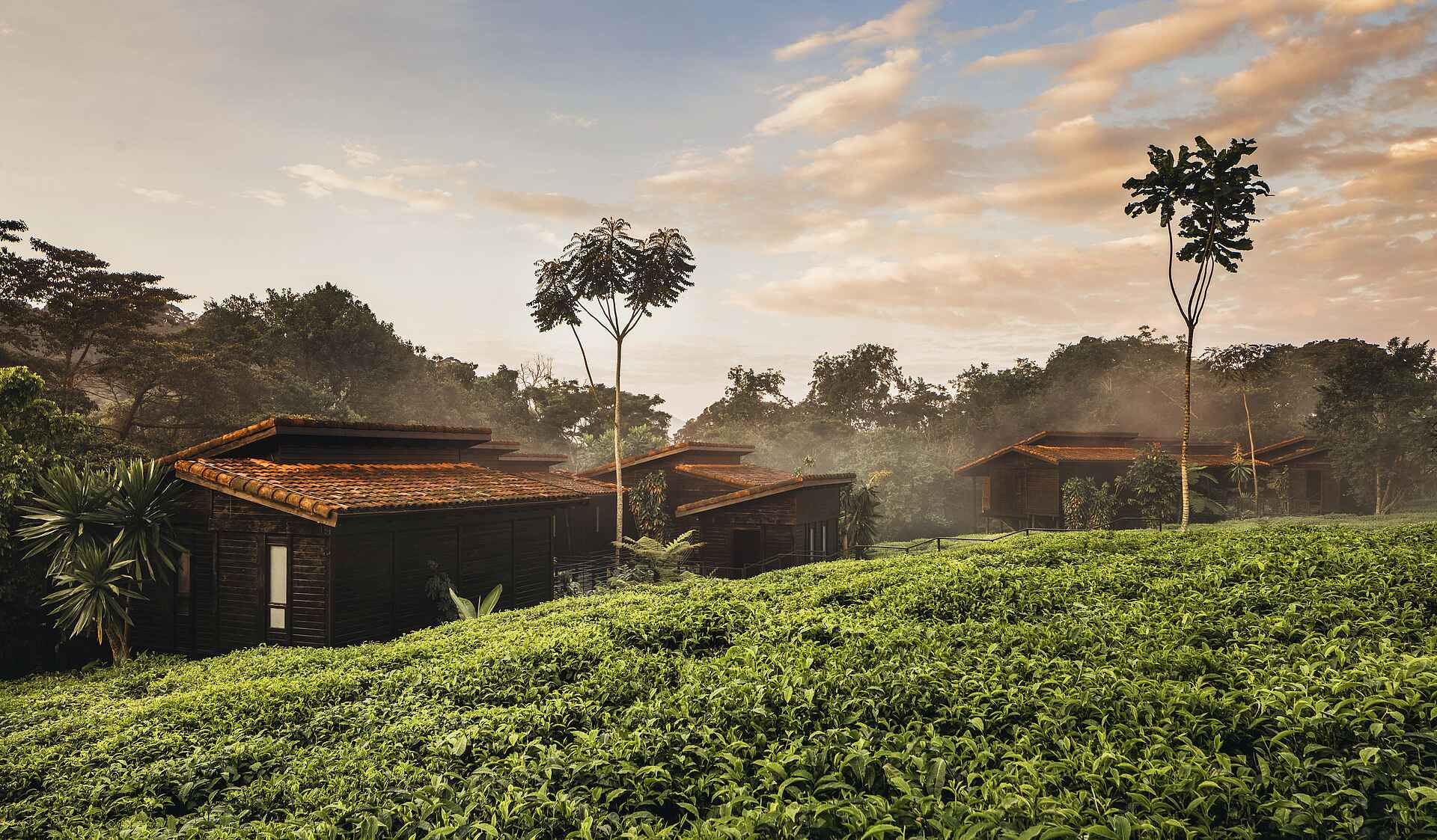 One and Only Nyungwe House: Die Unterkünfte bei Sonnenaufgang
