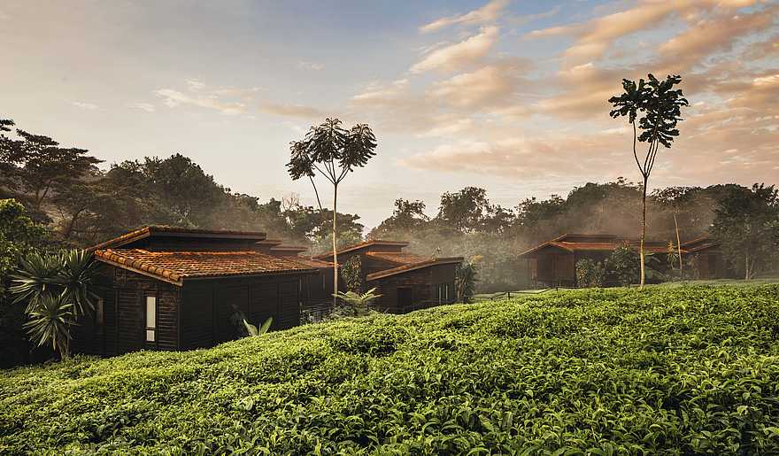 One and Only Nyungwe House: Die Unterkünfte bei Sonnenaufgang One and Only Nyungwe House: Die Unterkünfte bei Sonnenaufgang