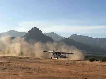 Sarara Tree: Am Namunyak Airstrip Sarara Tree: Am Namunyak Airstrip