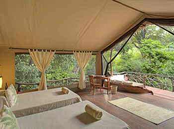 Sarara Tree: Einzelbetten Sarara Tree: Einzelbetten