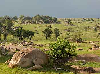 Chaka Camp: Die weite Graslandschaft
