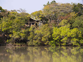 Mukambi Fig Tree Bush Camp: Die Stirnseite eines Gästezelte mit der Veranda