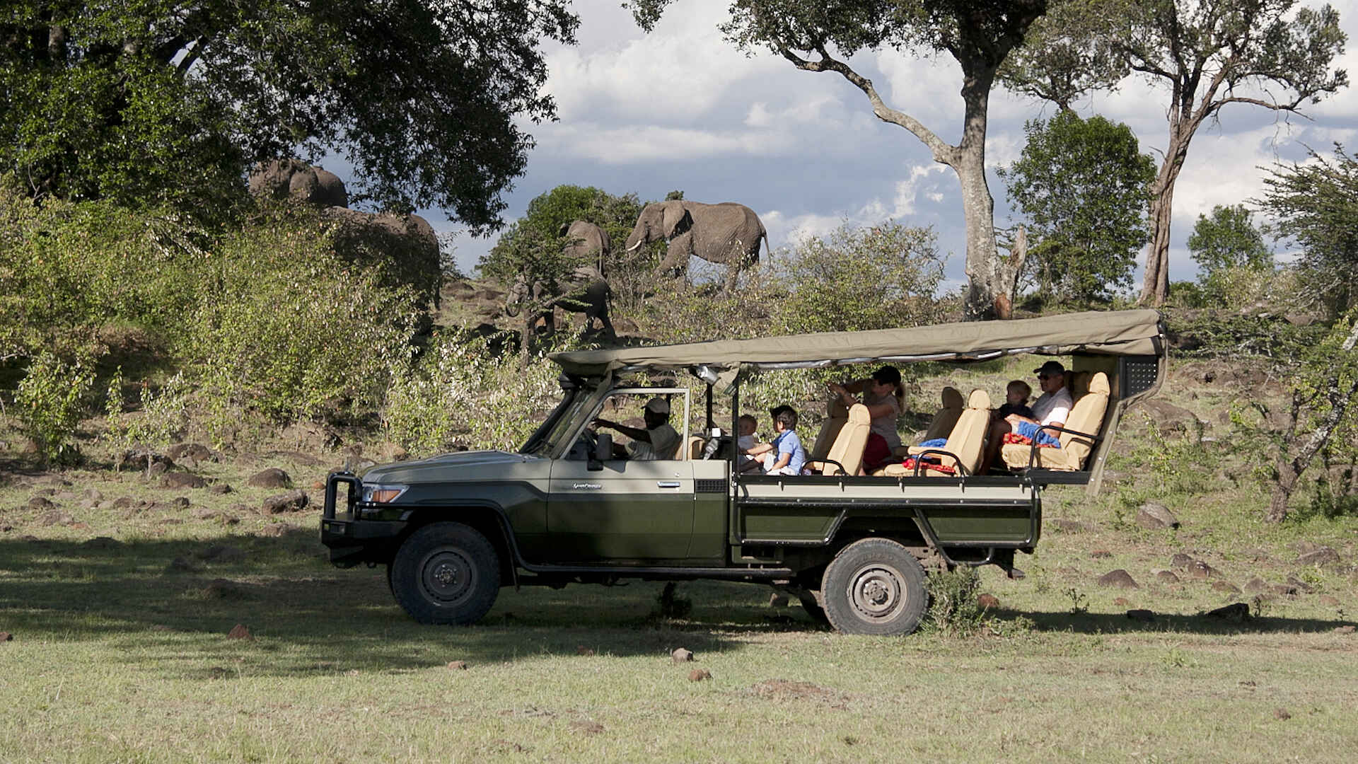Ngare Serian Camp: Game Drive