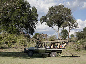 Ngare Serian Camp: Game Drive