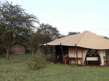 Ronjo Camp: Hauptzelt und Gästezelte