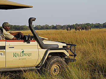 Shinde Lodge: Elefanten im hohen Gras Shinde Lodge: Elefanten im hohen Gras