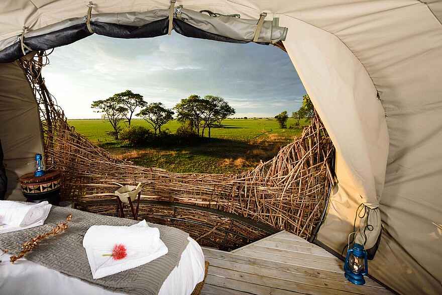 Chisa Busanga Camp: Blick aus einem Vogelnest Chisa Busanga Camp: Blick aus einem Vogelnest