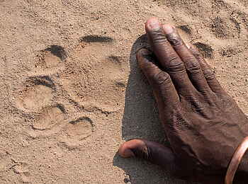 Kanga Expeditions: Löwenspur