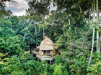 Lango Camp: Gästehütte in regionaltypischer Bauweise Lango Camp: Gästehütte in regionaltypischer Bauweise