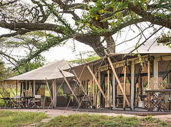 Legendary Mila Tented Camp: Gesamtansicht