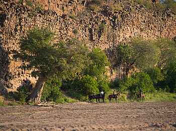 Mashatu Game Reserve: Reiter vor Felsen im Flussbett