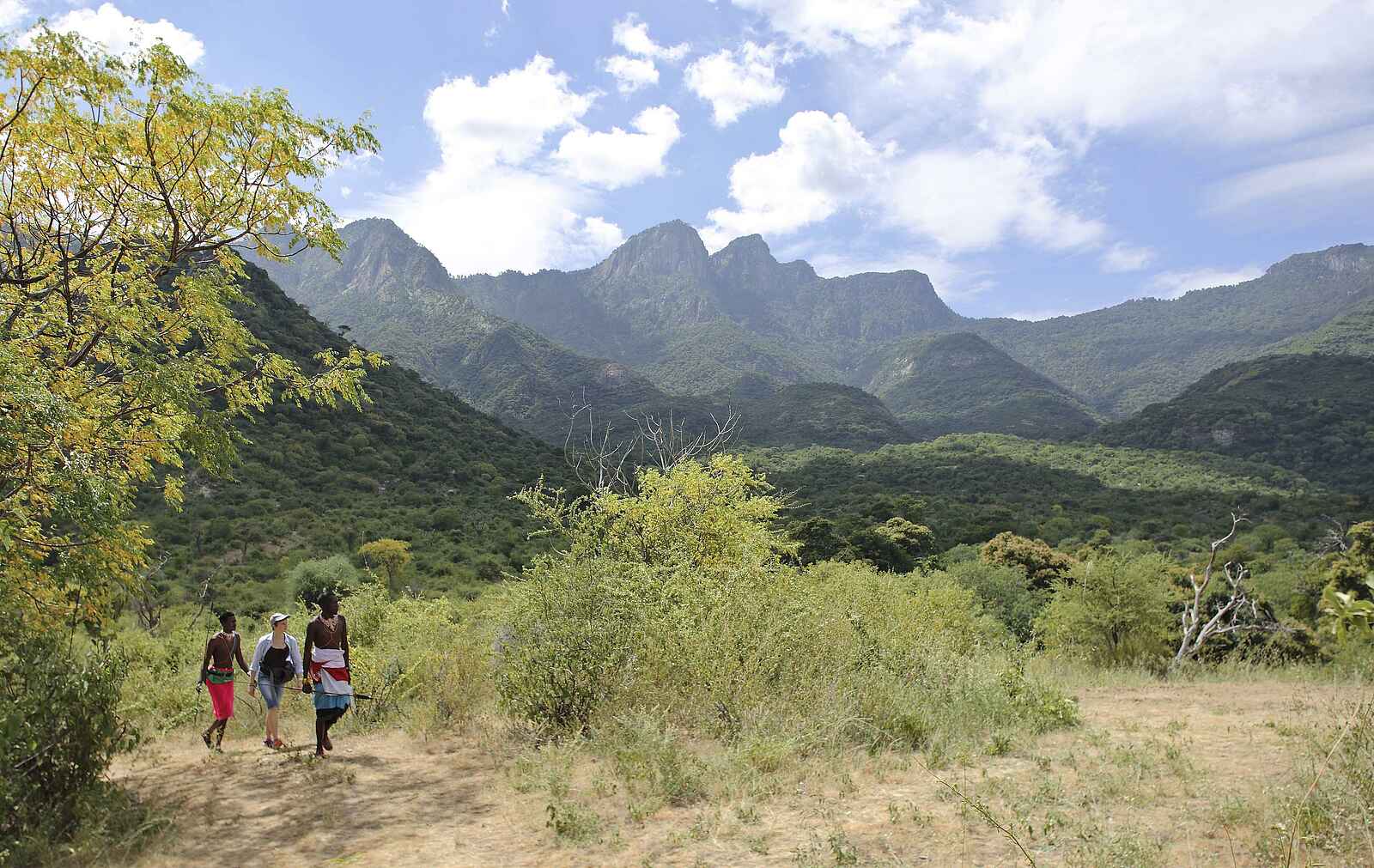 Sarara Tree: Geführte Buschwanderung Sarara Tree: Geführte Buschwanderung