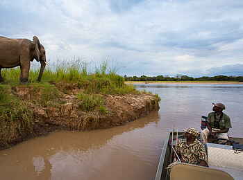 Time + Tide Luwi: Bootsafari und Elefanten