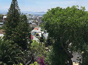 Tree House Boutique Hotel: Blick über Greenpoint Tree House Boutique Hotel: Blick über Greenpoint