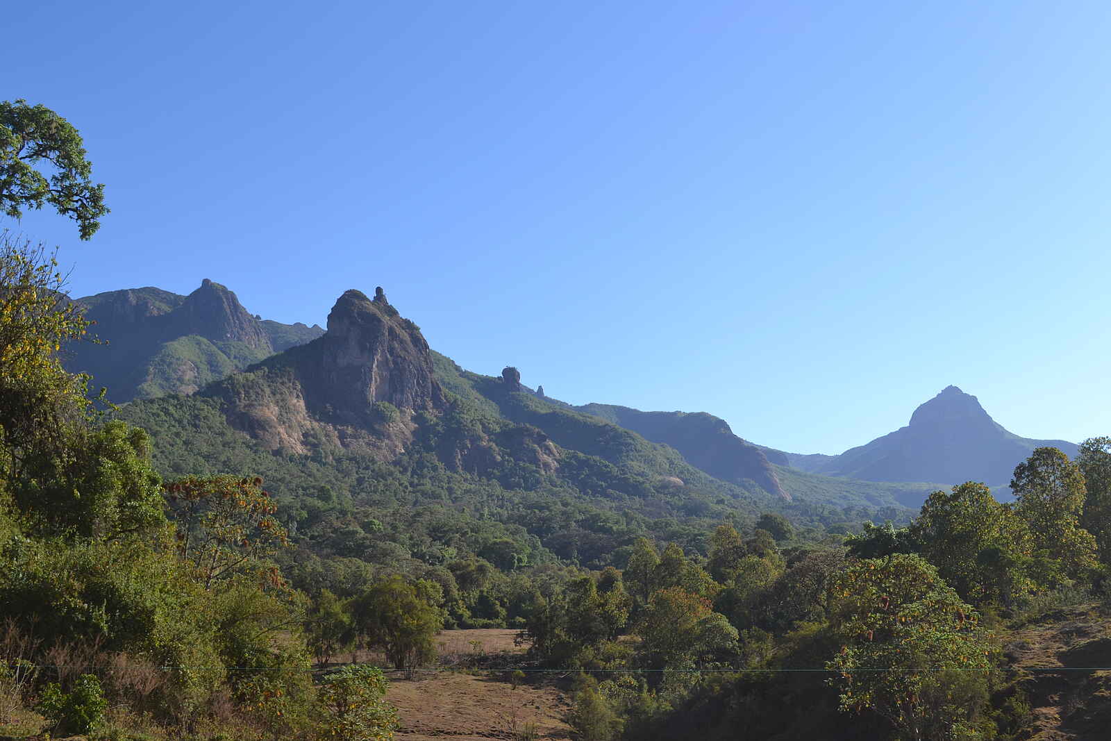 Bale Mountain Lodge: Blick auf die Berge Bale Mountain Lodge: Blick auf die Berge