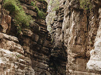 Charlie Sanjan Safari Camp: Wanderung durch Schlucht