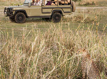 Chem Chem Lodge: Pirschfahrt Chem Chem Lodge: Pirschfahrt