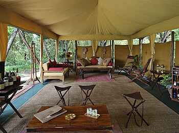 Elephant Pepper Camp: Main Lounge mit Bar Elephant Pepper Camp: Main Lounge mit Bar