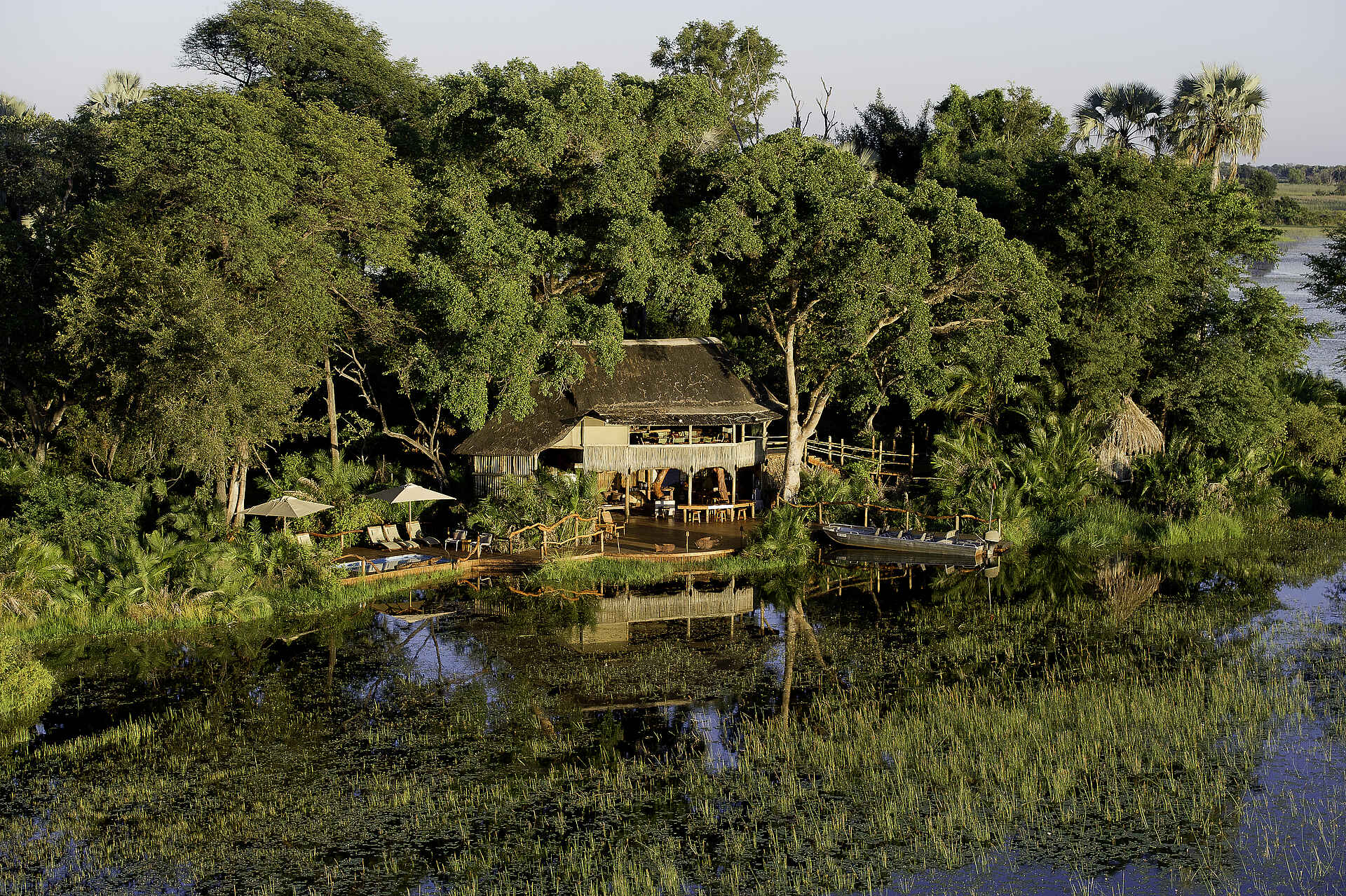 Jacana Camp, Jao Konzession, NG 25, Okavangodelta, Okavango-Delta, Wassercamp, Wilderness Safaris, Bäume, Nahaufnahme, Afrikarma, Afrikarma Safaris, Afrikarma Safaris - Wildnis. Hautnah., Afrikarma.de